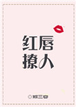 红唇撩人[娱乐圈]小说