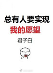 《总有人要实现我的愿望》