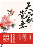 《天家贵妻》