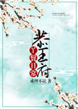 《恭王府丫鬟日常》