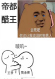 《我怕是离了个假婚》