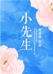 小先生小说