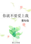 你就不要爱上我小说