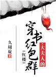 《[红楼]大夫人的穿书红包群》