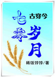 《七零岁月[古穿今]》