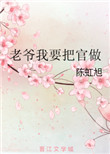 《老爷我要把官做》
