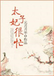 《太子妃很忙》小说