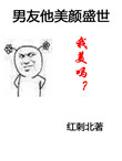 男友他美颜盛世小说