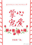 掌心宠爱小说