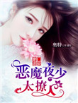《豪门虐爱：恶魔夜少太撩人》