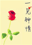 《一见钟情[娱乐圈]》