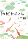 《[红楼]权后之路》