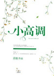 《小高调[娱乐圈]》
