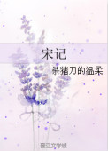宋记图片