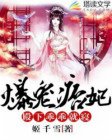 《爆宠痞妃：殿下，乖乖就寝》