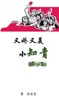 《又娇又美小知青》小说