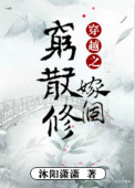 穿越之嫁个穷散修图片