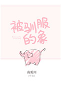 《被驯服的象》