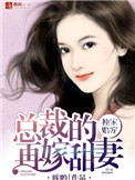 《独家婚宠，总裁的再嫁甜妻》