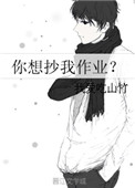 你想抄我作业？小说