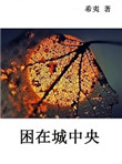 困在城中央小说