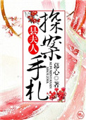 《县夫人探案手札》