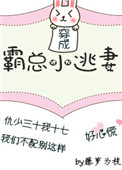 《穿成霸总小逃妻》小说