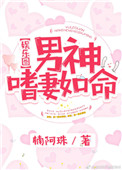 《男神嗜妻如命[娱乐圈]》