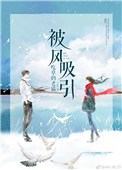 被风吸引小说