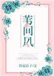 苇间风小说