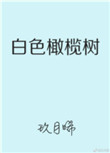 白色橄榄树小说