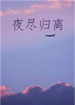 《夜尽归离》