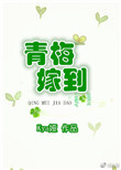 《青梅嫁到》
