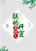 《朕的奸宦是佳人》