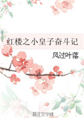 《红楼之小皇子奋斗记》