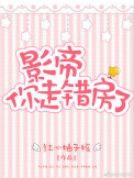 《影帝，你走错房了》