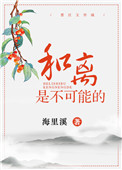 《和离是不可能的》小说