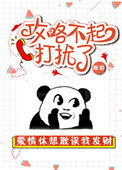 《攻略不起打扰了》