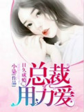 《日久成瘾：总裁，用力爱》
