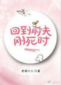 《回到前夫刚死时》