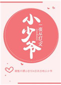 小少爷小说