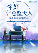《你好，总监大人》