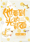 《他看到光的背面》