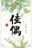 《佳偶》