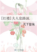 《[红楼]夫人套路深.》