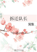 《拆迁队长》