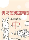 《贵妃在民国离婚中》