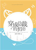 《穿成总裁的初恋》小说