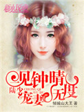 《一见钟晴：陆少，宠妻无度》