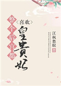 《整个后宫都喜欢皇贵妃》